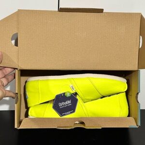 TOMS CLASSIC NEON VIVID CANVAS